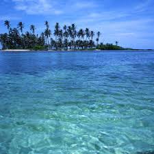 images (6)